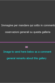 ( uso della galleria )